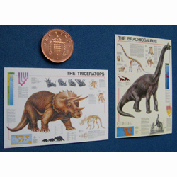 2 Dinossaur Posters
